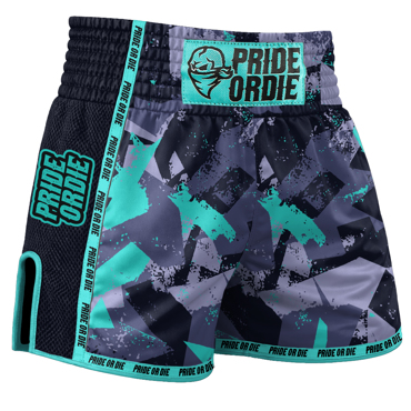 Pride Or Die reckless v2 Thai shorts - grey